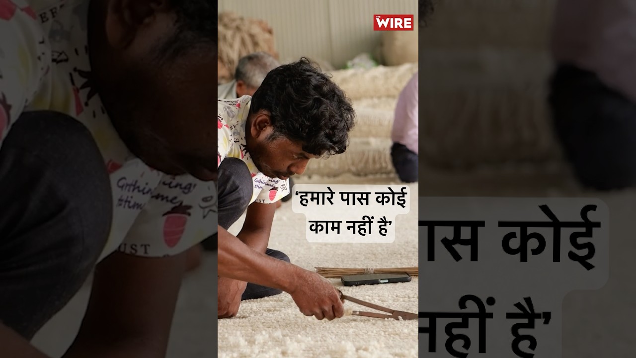 How Trump's 50% Tariff Is Crushing India's Carpet Industry