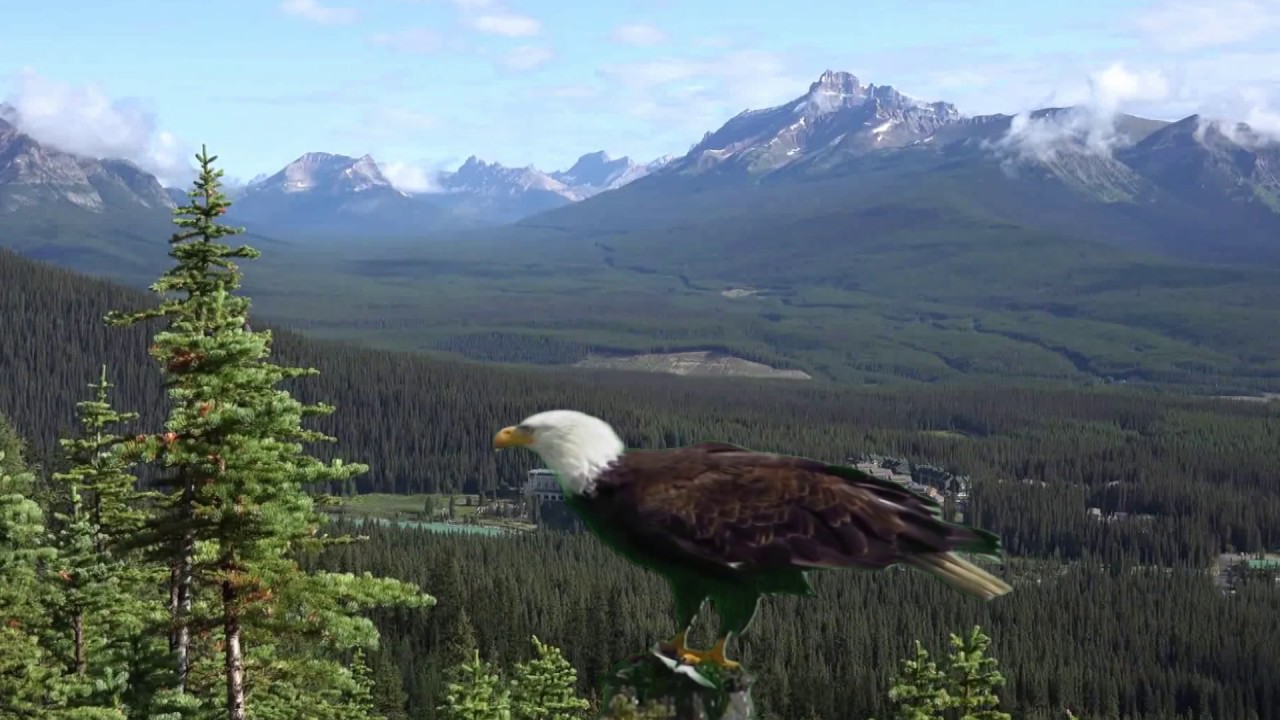 FLY LIKE AN EAGLE   Native American Song