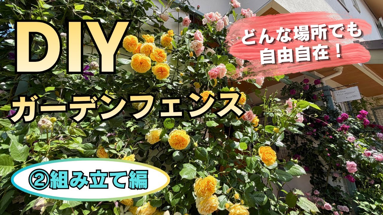 【薔薇やクレマチスを立体誘引！】DIYガーデンフェンスの作り方『組み立て編』