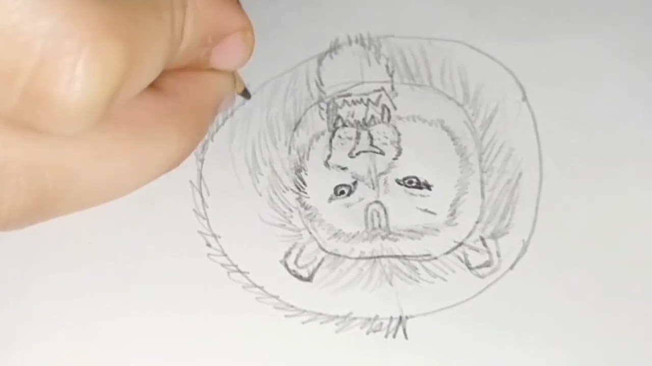 Narsimha Ji ki drawing