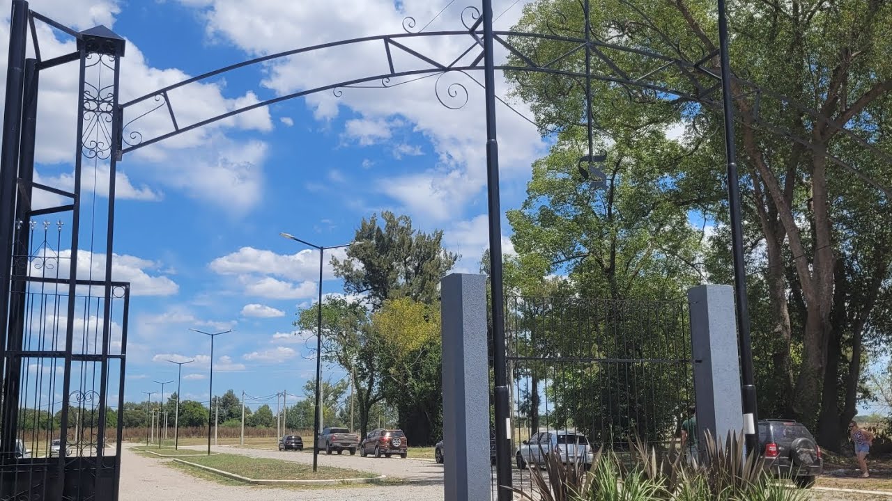 Felicitas barrio protegido y arbol cristal