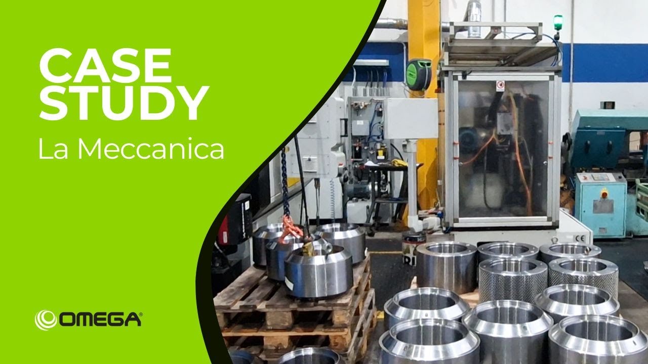 Case Study La Meccanica