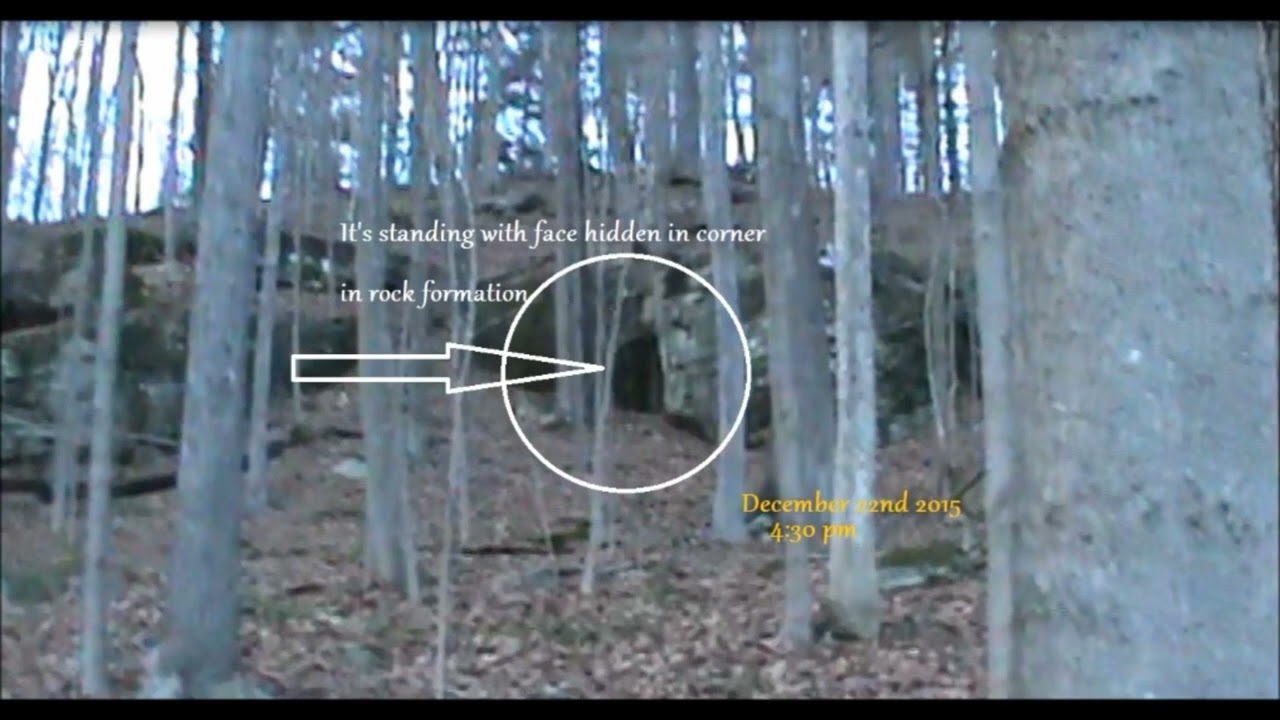 Father & Son Walk Past Hiding Bigfoot