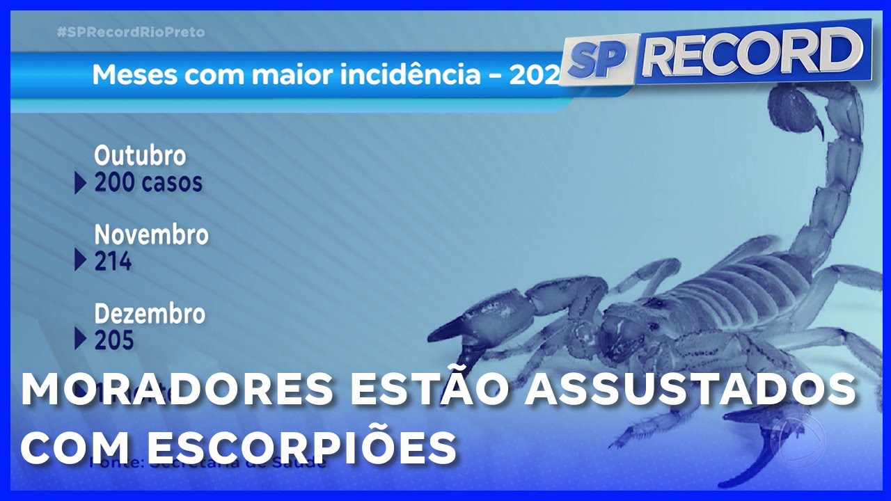 Moradores estão assustados com escorpiões