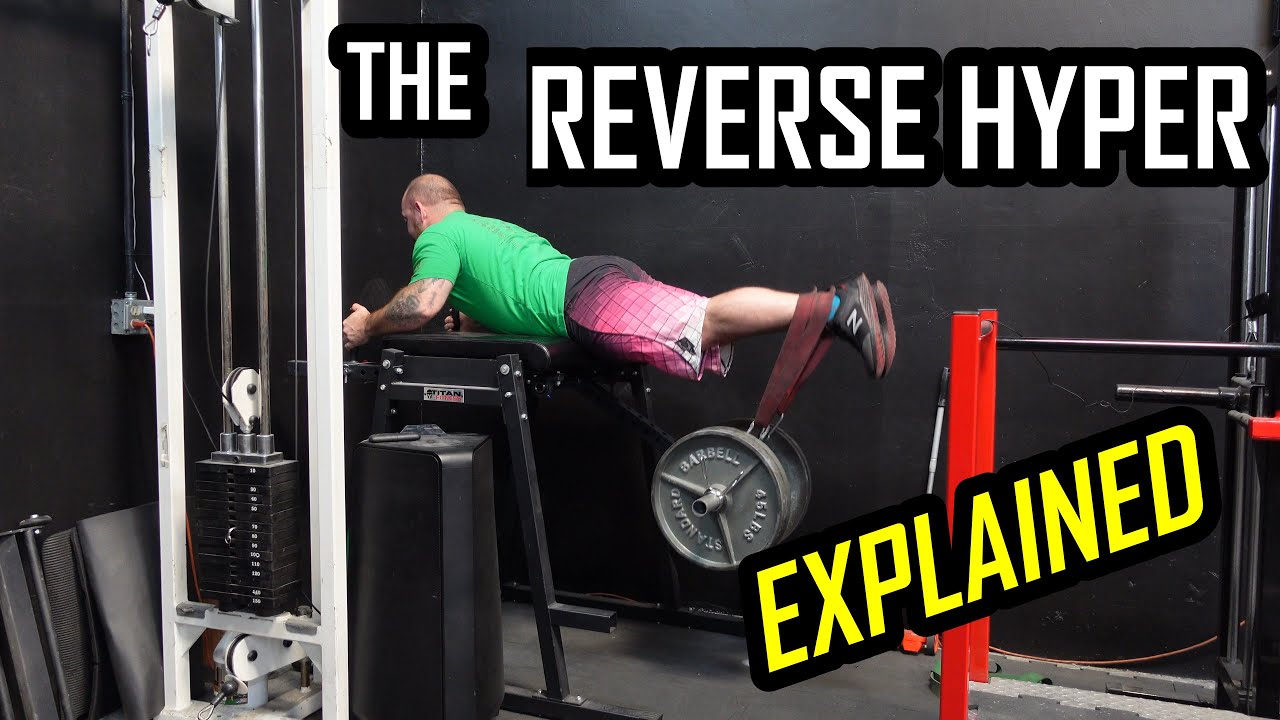 Magic Deadlift Accessory or Overhyped Merchandise? The Reverse Hyper Explained