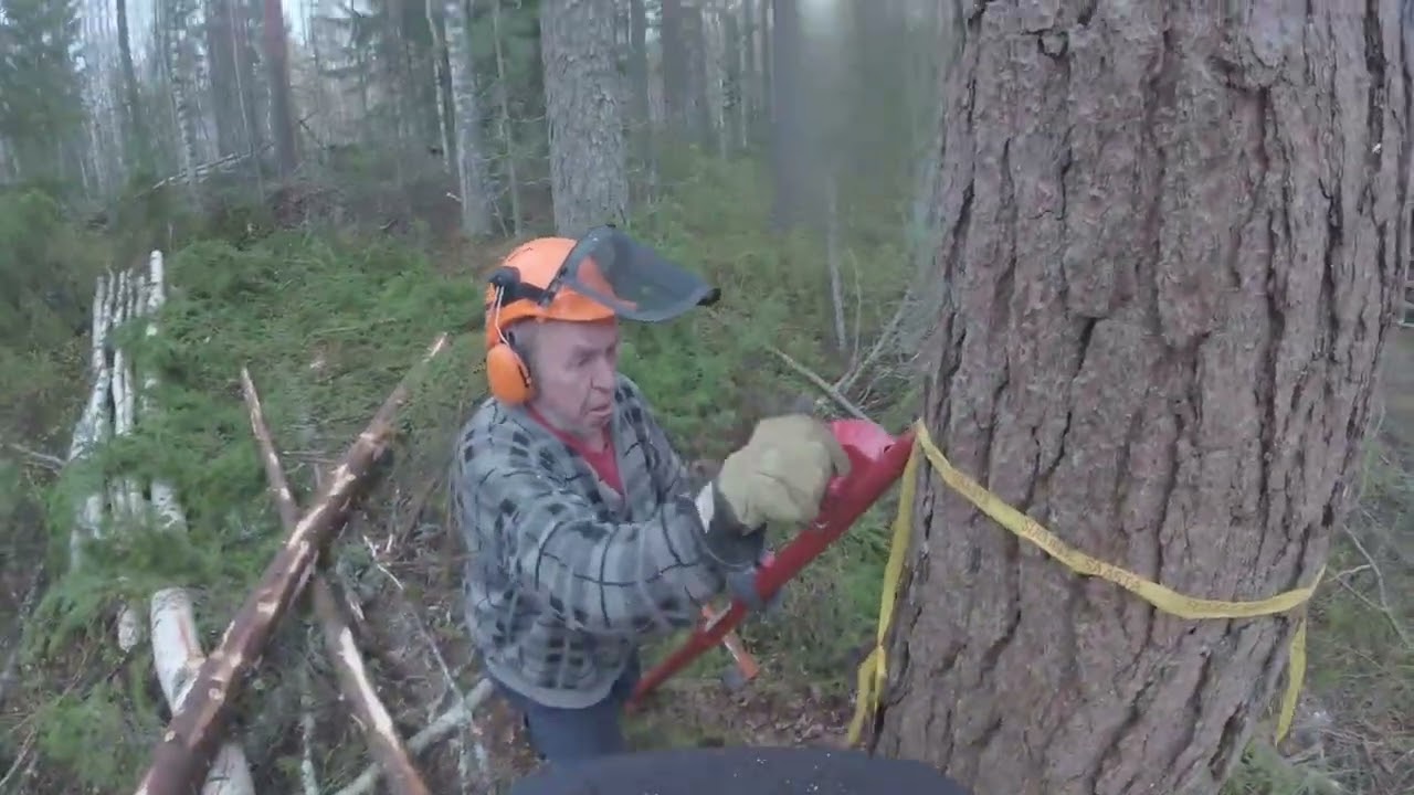 Oppi-isä Tunkin varressa