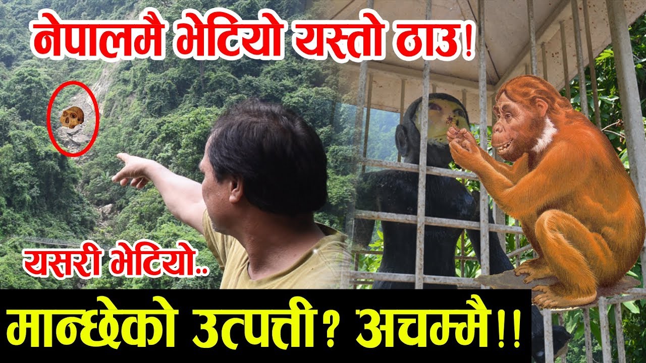 मान्छेको पुर्खा भेटिएको ठाउँ नेपालमै ? यस्तो अचम्म!! यसरी भेटियो History Of Ramapithecus