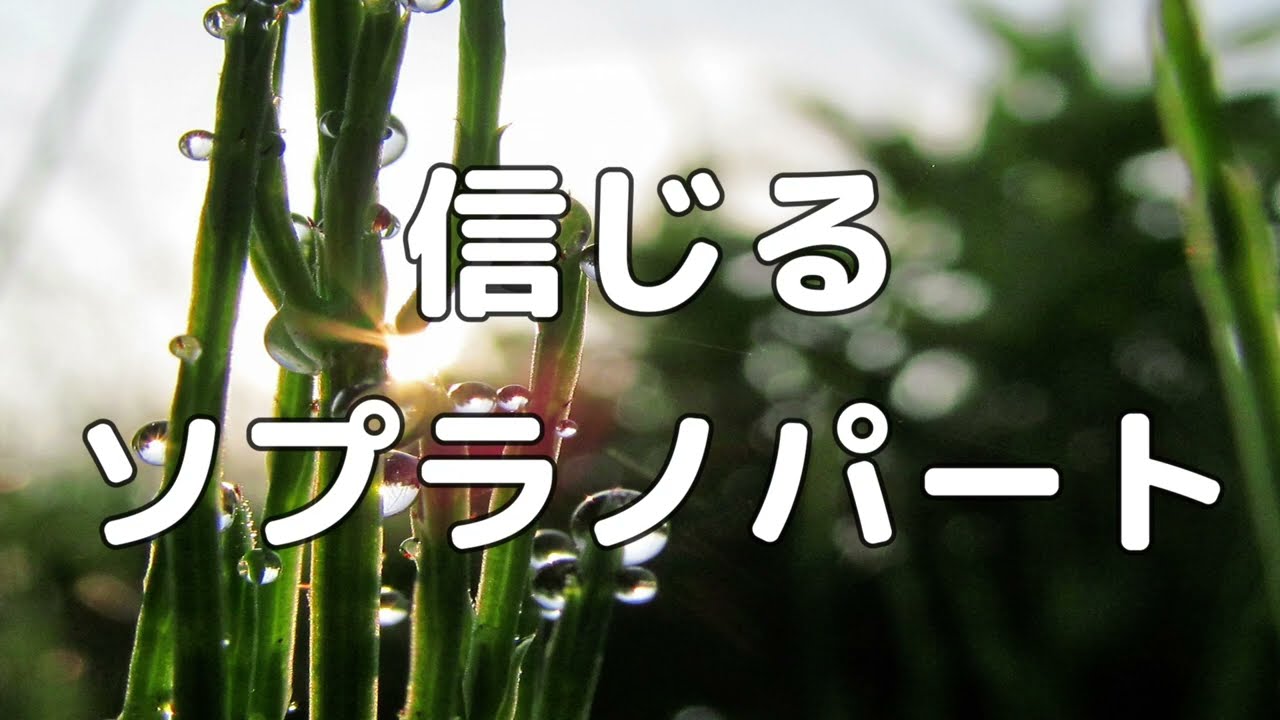 【合唱曲】信じる (混声三部合唱) /ソプラノ パート練習用【歌詞付き】