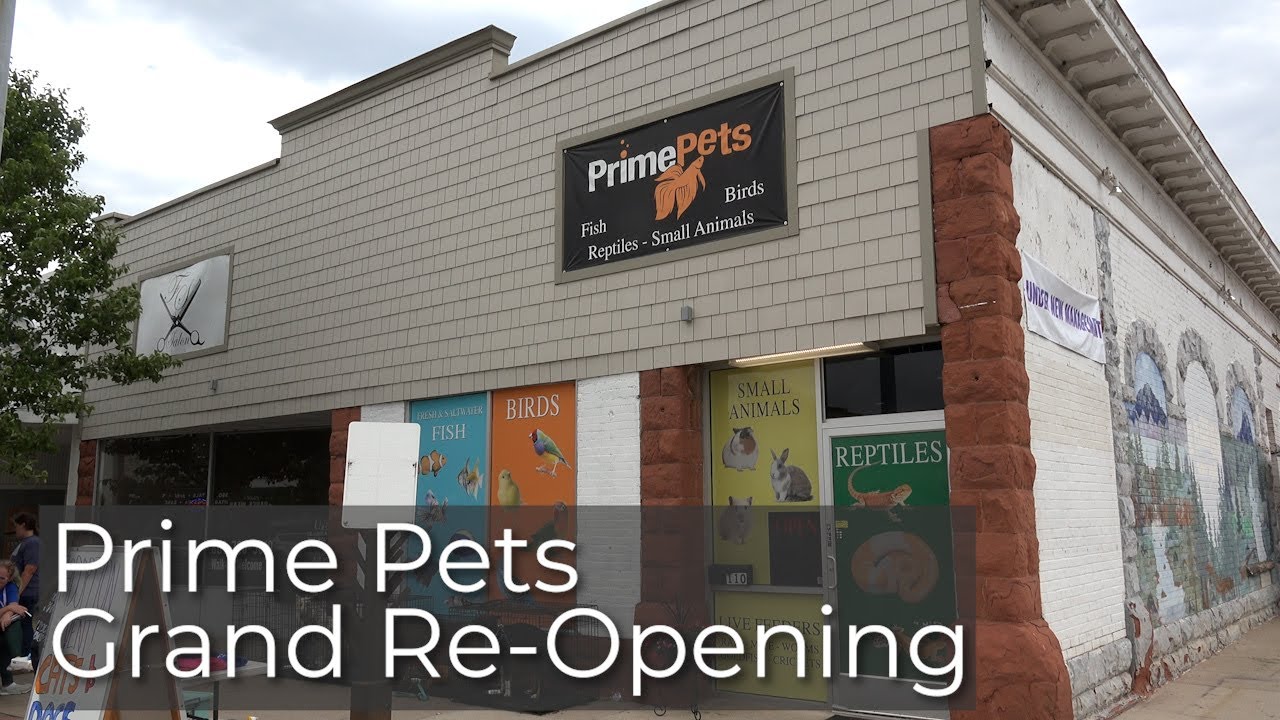 Prime Pets Grand Re-Opening | 06/18/22