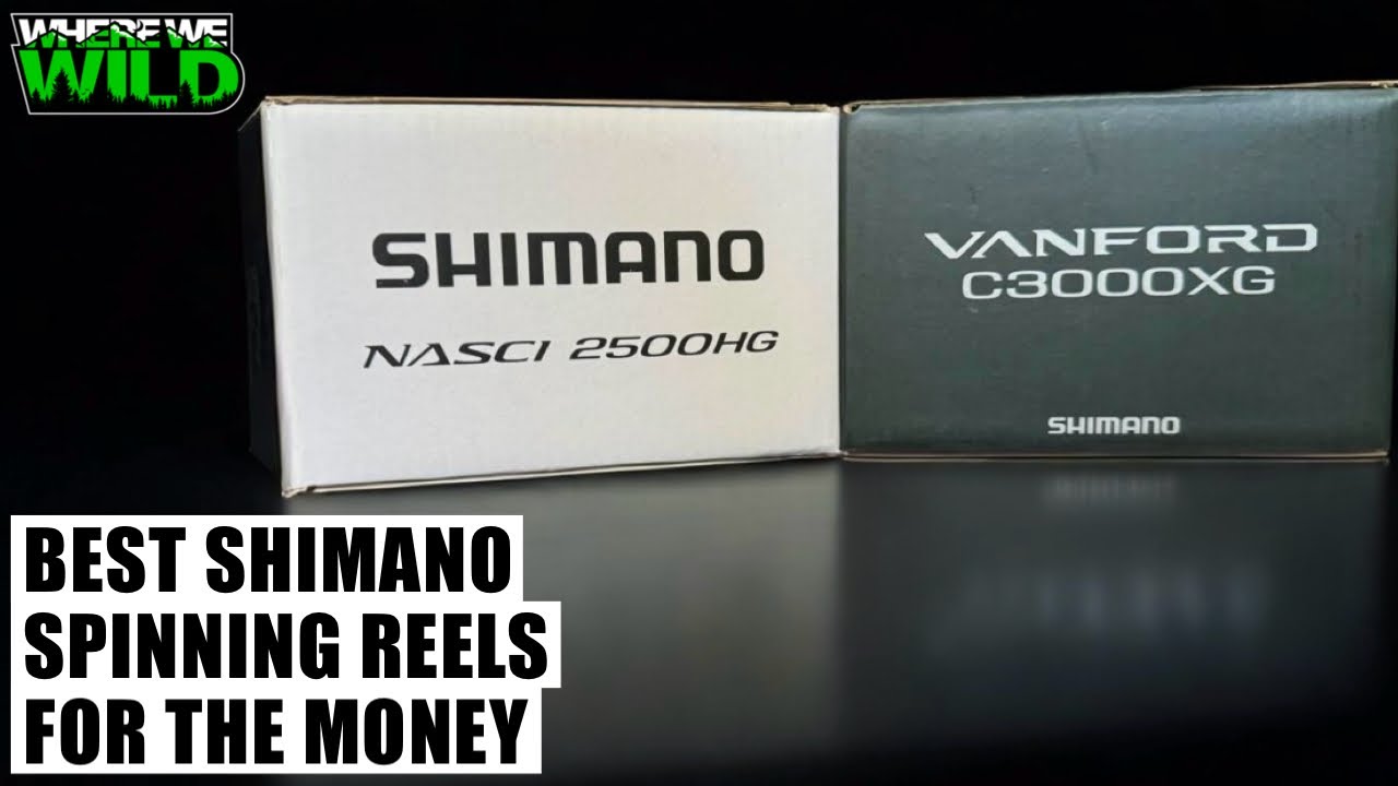 ЛУЧШИЕ КАТУШКИ SHIMANO ДЛЯ БЕСПРОВОДНОГО СПИННИНГА ЗА ЭТИ ДЕНЬГИ