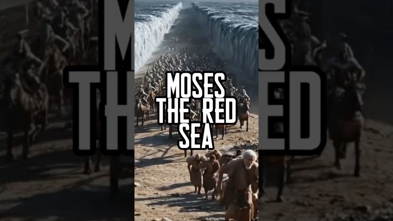 Moses: The Red Sea