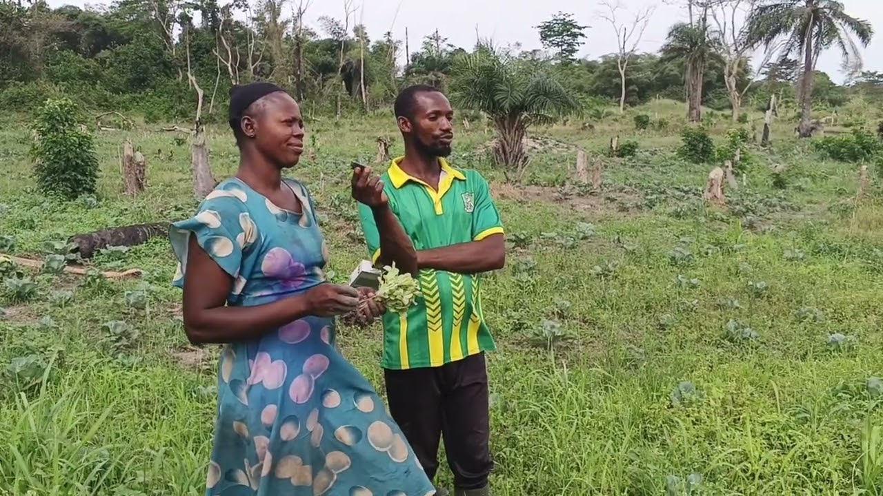 Galamsey Is Destroying Farms in Berekum West — Farmers Count Heavy Losses pt 3