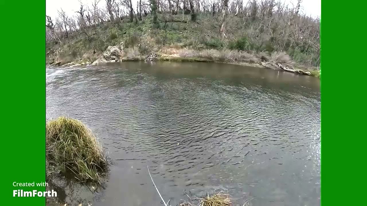 eucumbene river early spawn