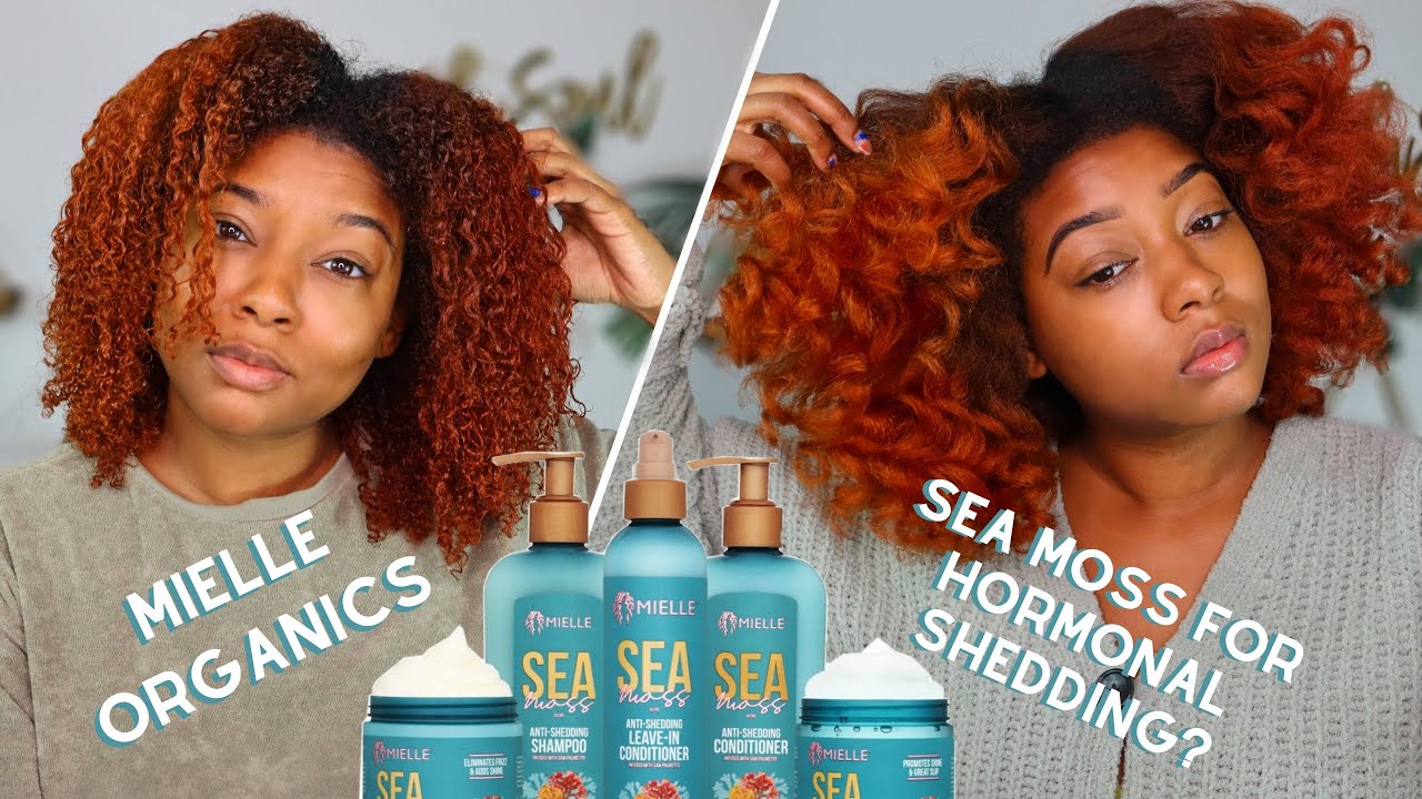 Sea Moss Wash Day Routine for Shedding | Mielle Organics Collection Review + Hormonal Hair Loss Info