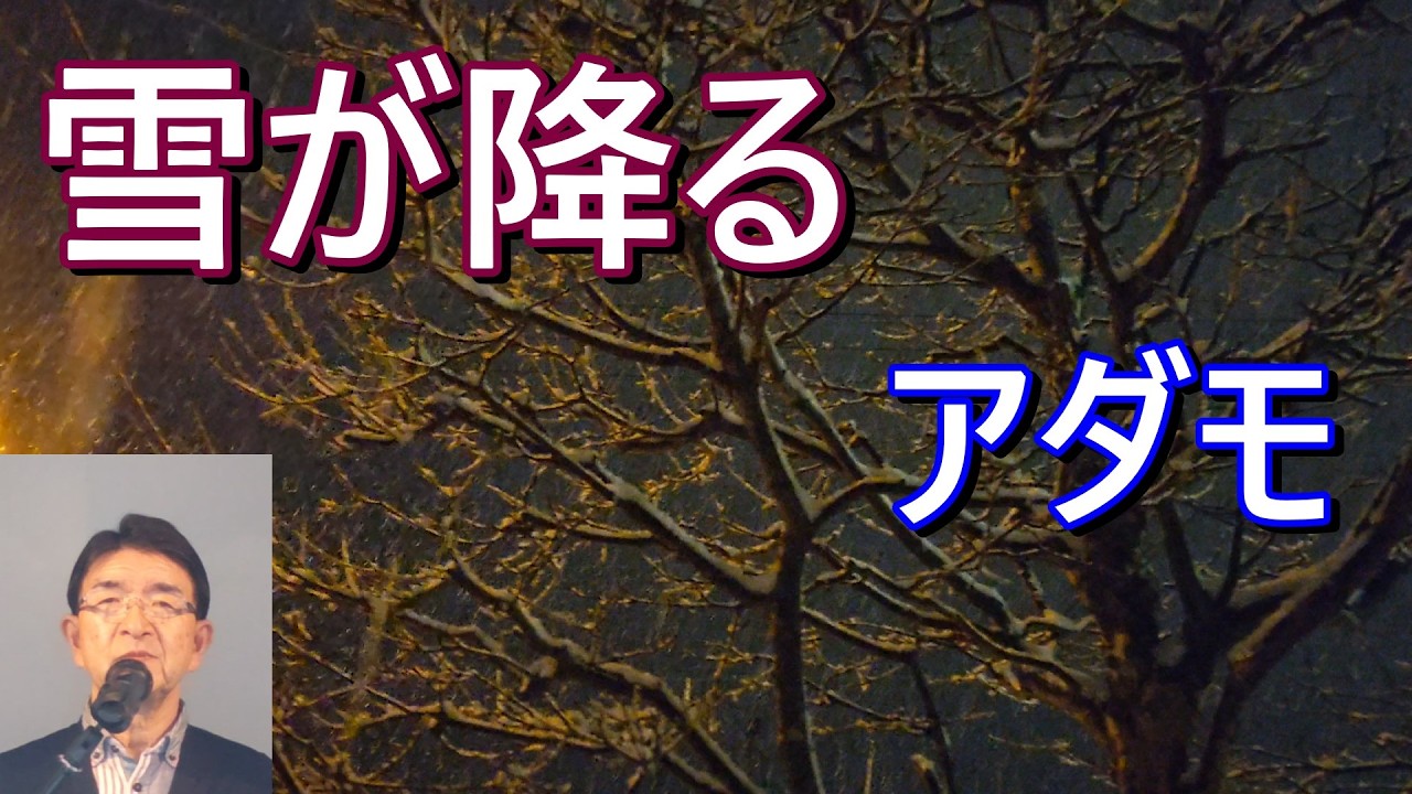 雪が降る／アダモ　cover by ラブえだ