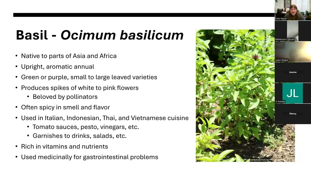 Plant Families: Lamiaceae Online Class