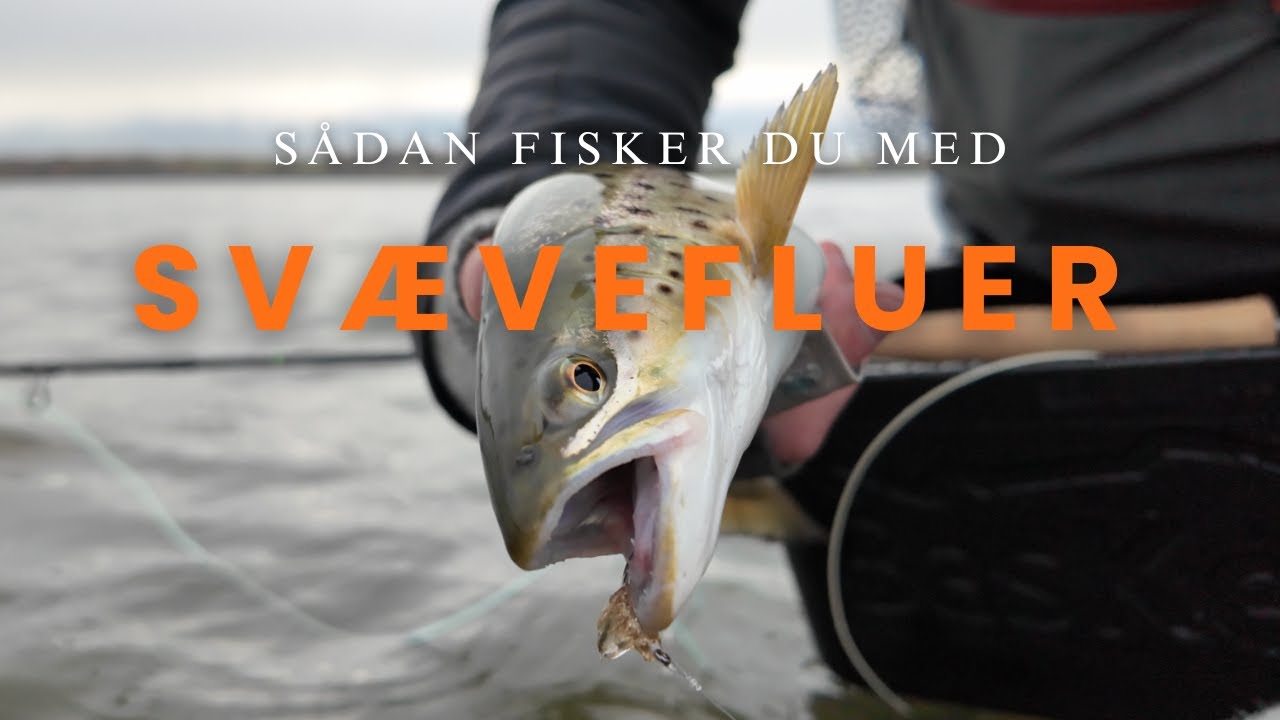 Sådan fanger du flere havørreder på kysten: Svævefluer/Svævende agn