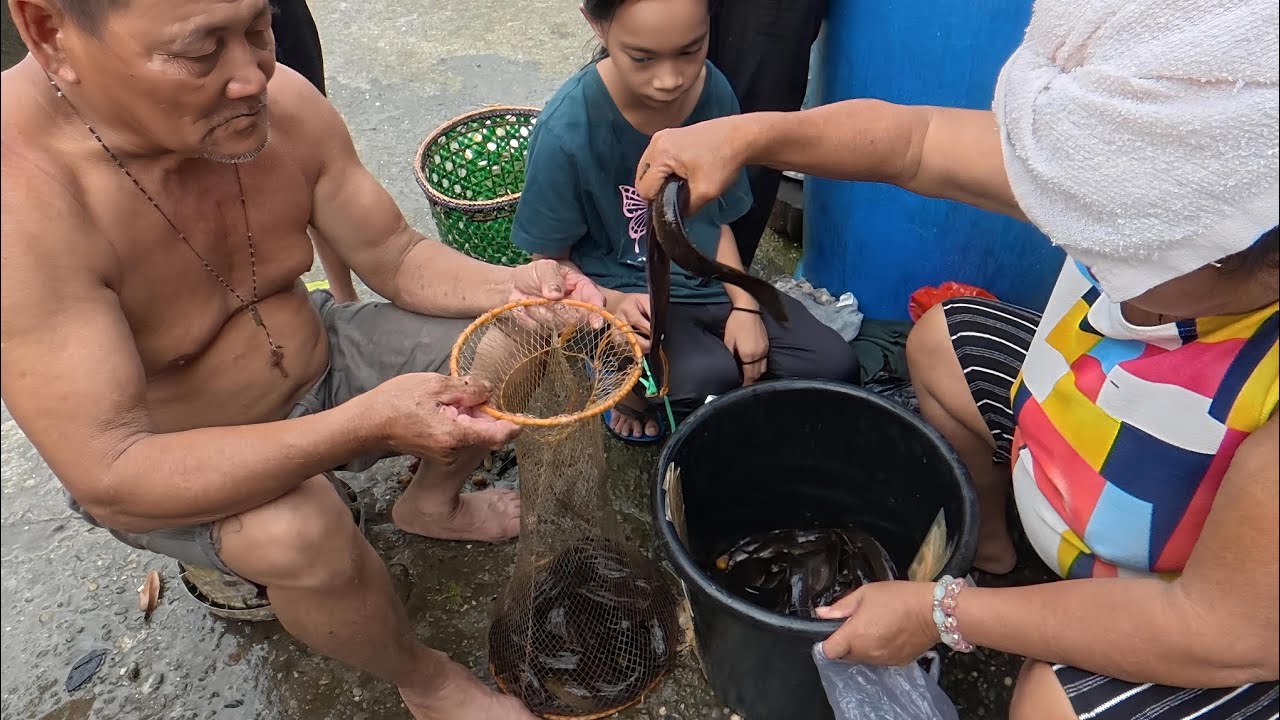 Cerita Ngabas Bubu 2026.Episod 2.Kali Ini Ada Manis²,Hasil Yang Lumayan