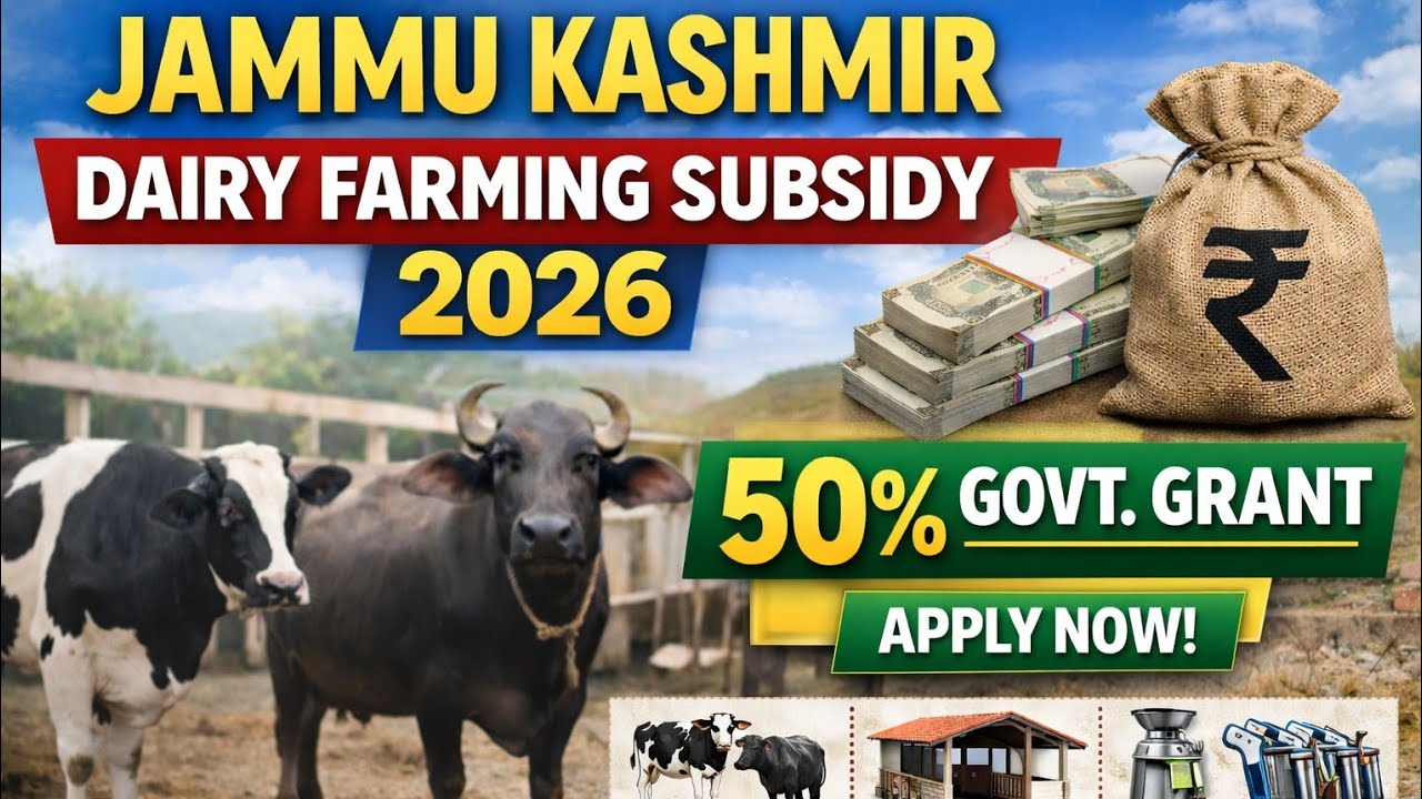 Jammu Kashmir Dairy Farming Subsidy 2026 | 50% Government Grant Scheme | Dairy Loan & Subsidy J&K