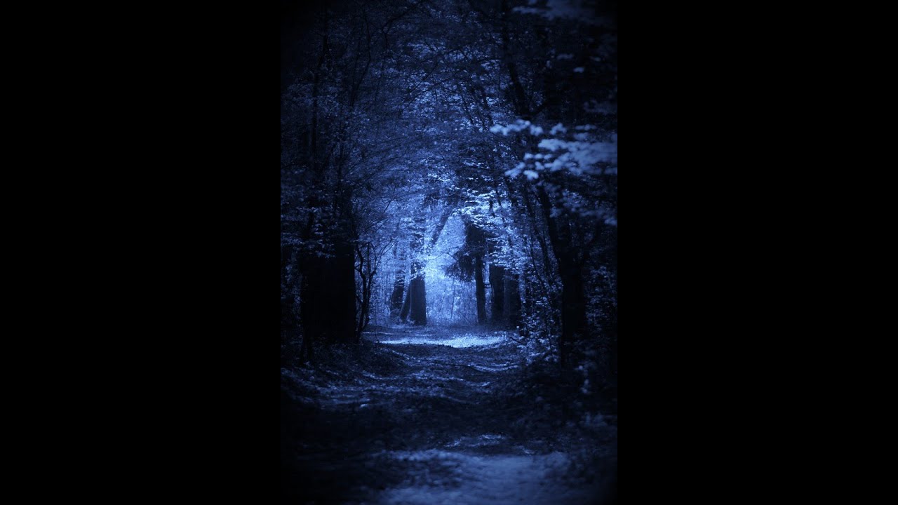 Darek Kowalski - Letnim październikiem