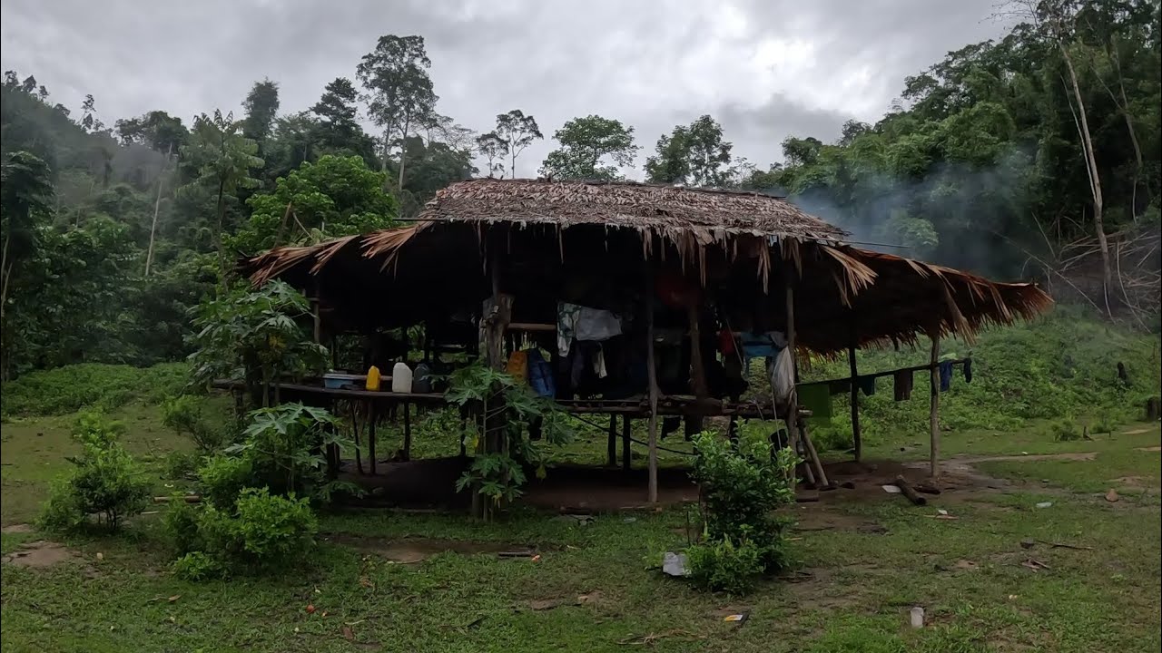 Ep103อันตรายระหว่างเดินทางไปหาแม่ในป่าลึก หูตาต้องไว