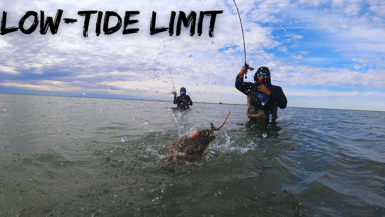 Wade fishing through shallow waters to catch a LIMIT of Speckled Trout! | Corpus Christi, TX