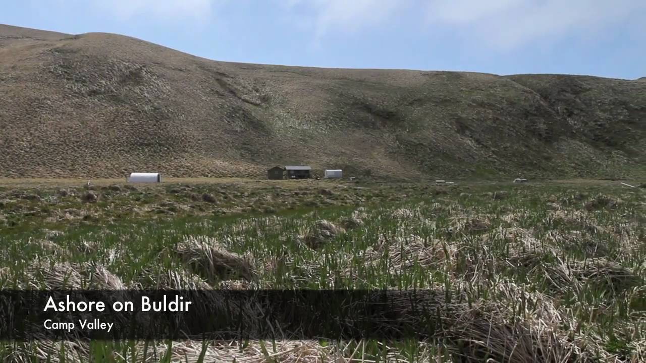 The Western Aleutians - Attu, Buldir and Kiska Islands - May/June 2010