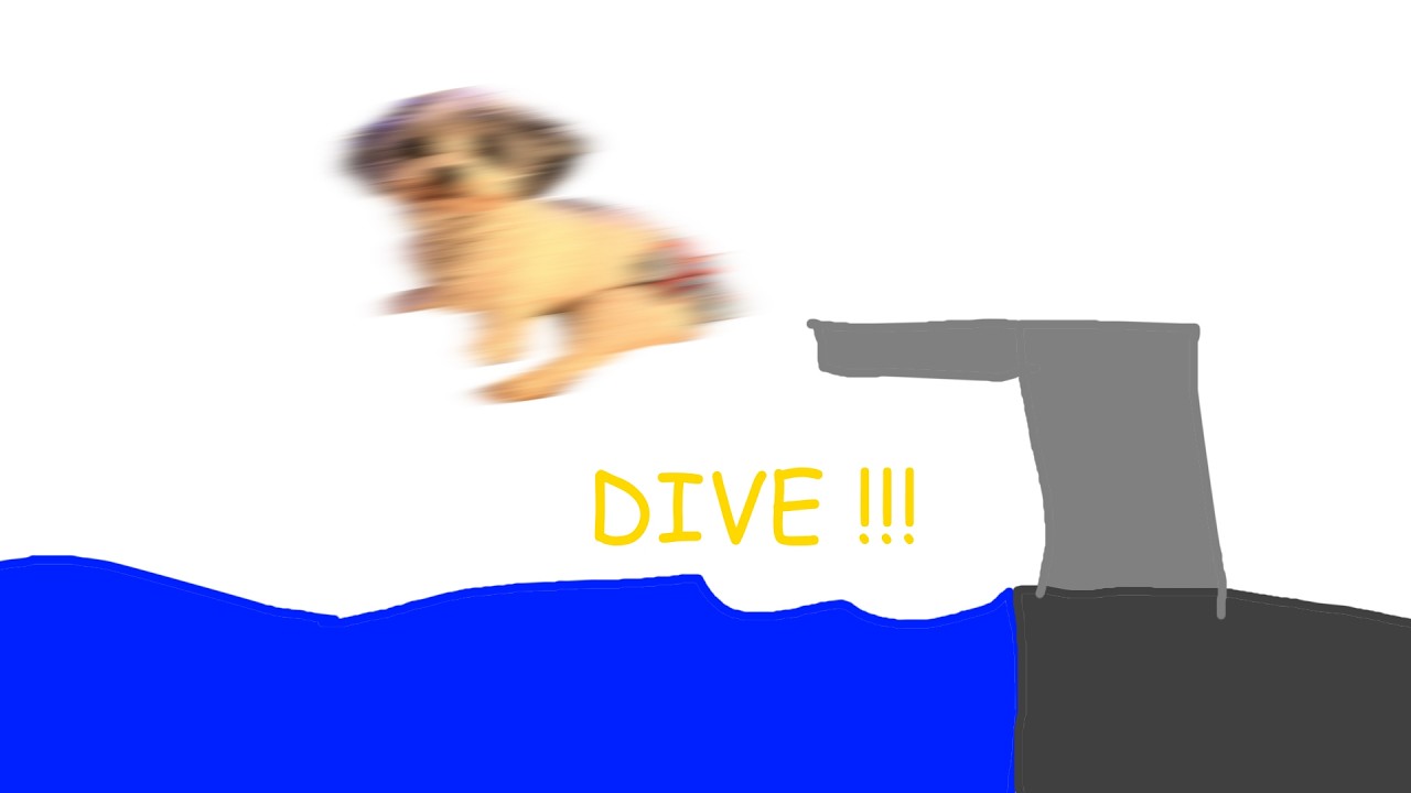 DIVE !!! with Skettles