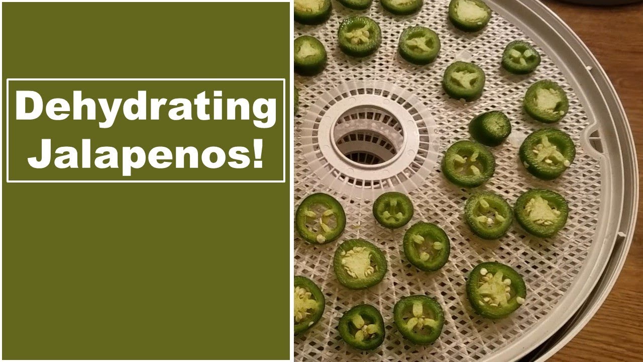 How to Dehydrate Jalapenos for Your Prepper Pantry | Dehydrating Jalapenos in a Food Dehydrator