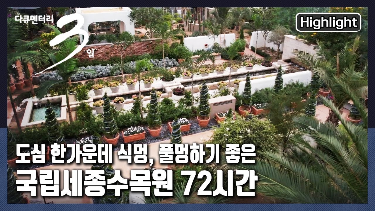 [다큐3일★하이라이트] 조그맣게 돋아난 ☘️새싹 하나에도 진심을 담는 사람들. “식물에 진심인 편 - 국립세종수목원 72시간” (KBS 20220123 방송)