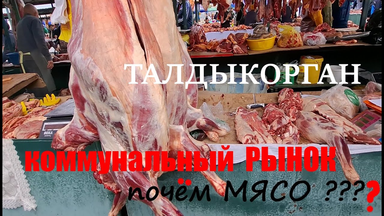 Коммунальный рынок (20.09.2025г) Талдыкорган