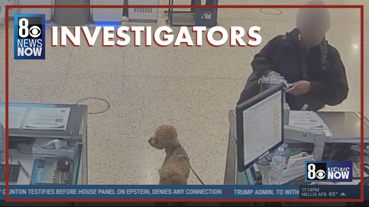 Brother defends woman arrested for leaving dog tied to baggage claim at Las Vegas airport