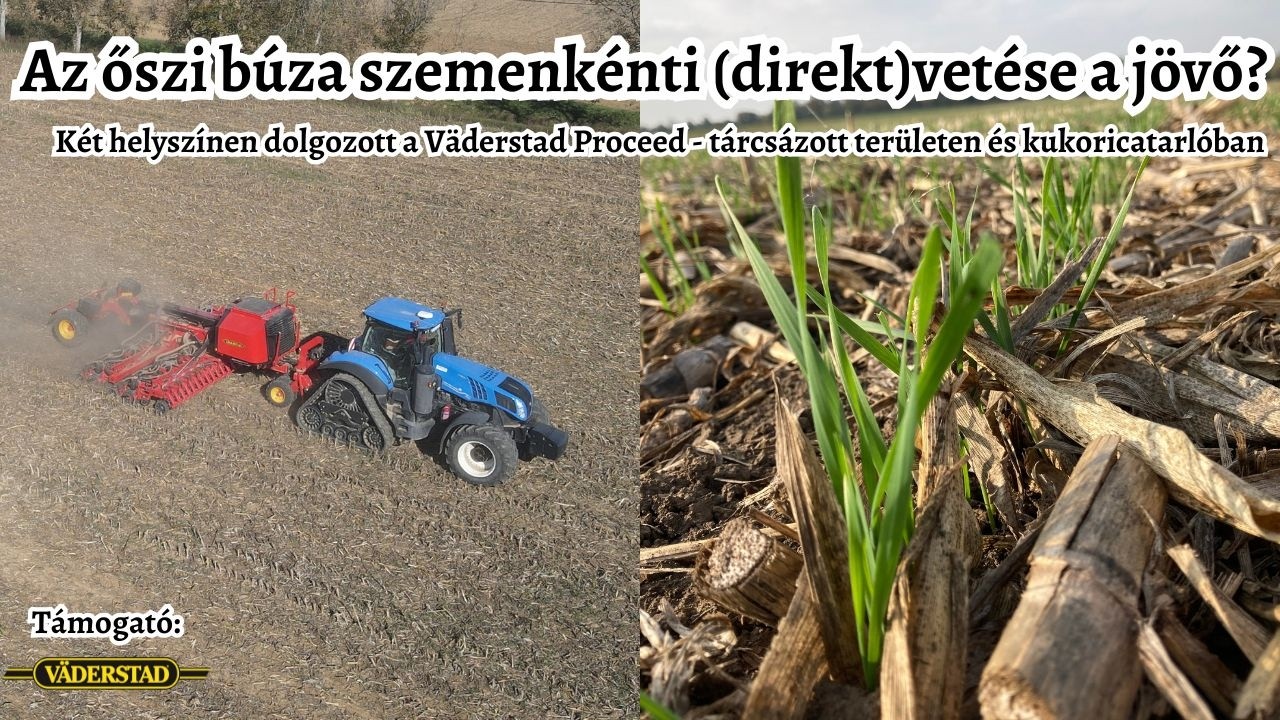 A búza szemenkénti (direkt)vetése lehet a jövő? | Kísérleti vetések a Väderstad Proceed vetőgéppel