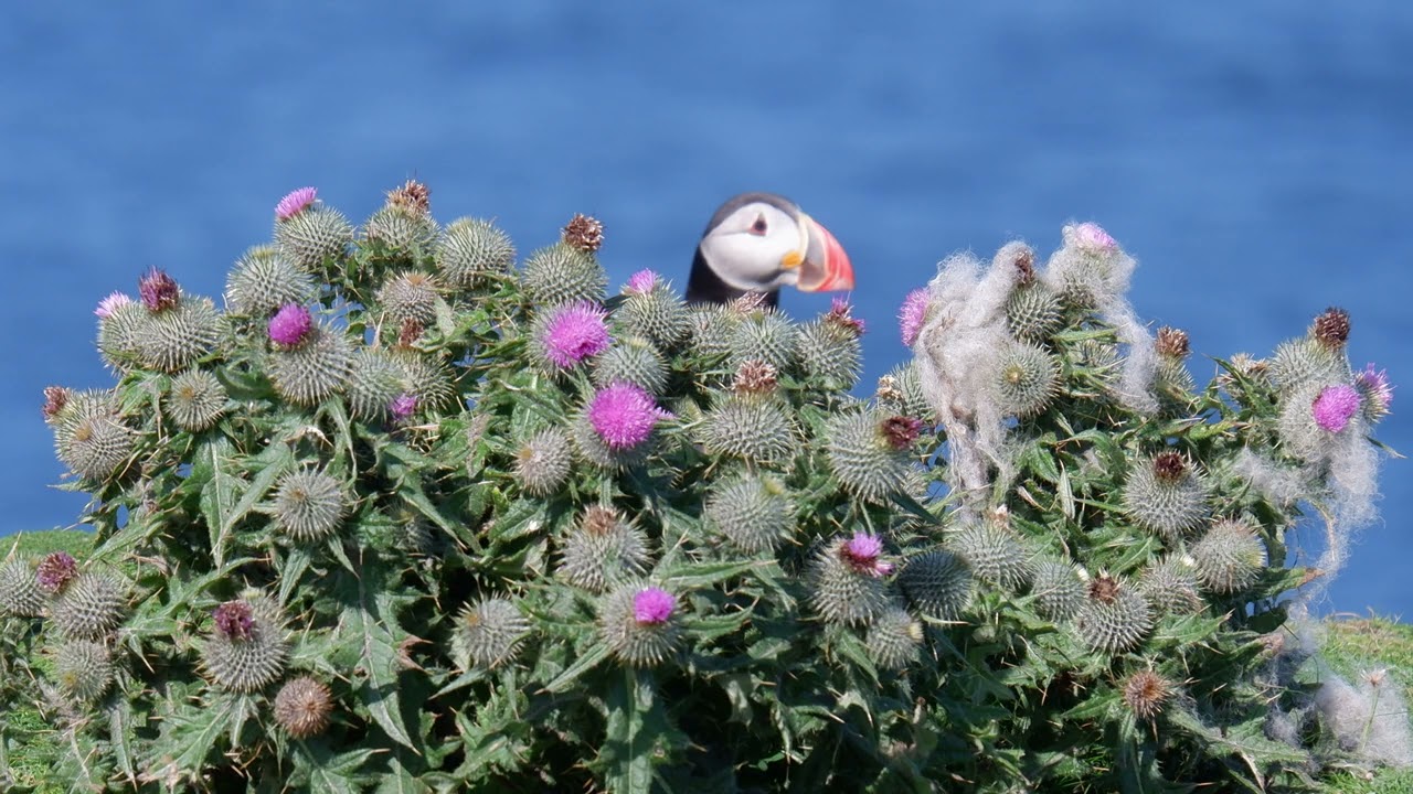 Epsisode 6: Fair Isle-Inverness