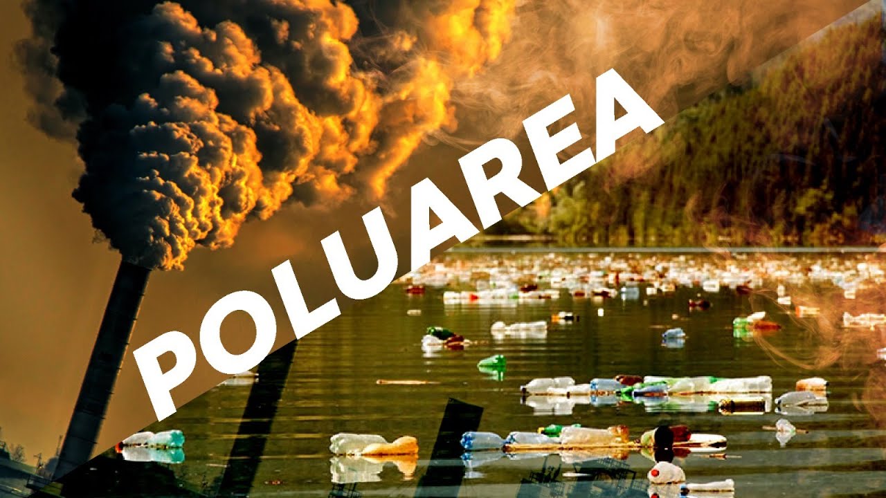 Tu Cat Crezi Ca Poluezi? Mai adauga! Asa, esti mai aproape.