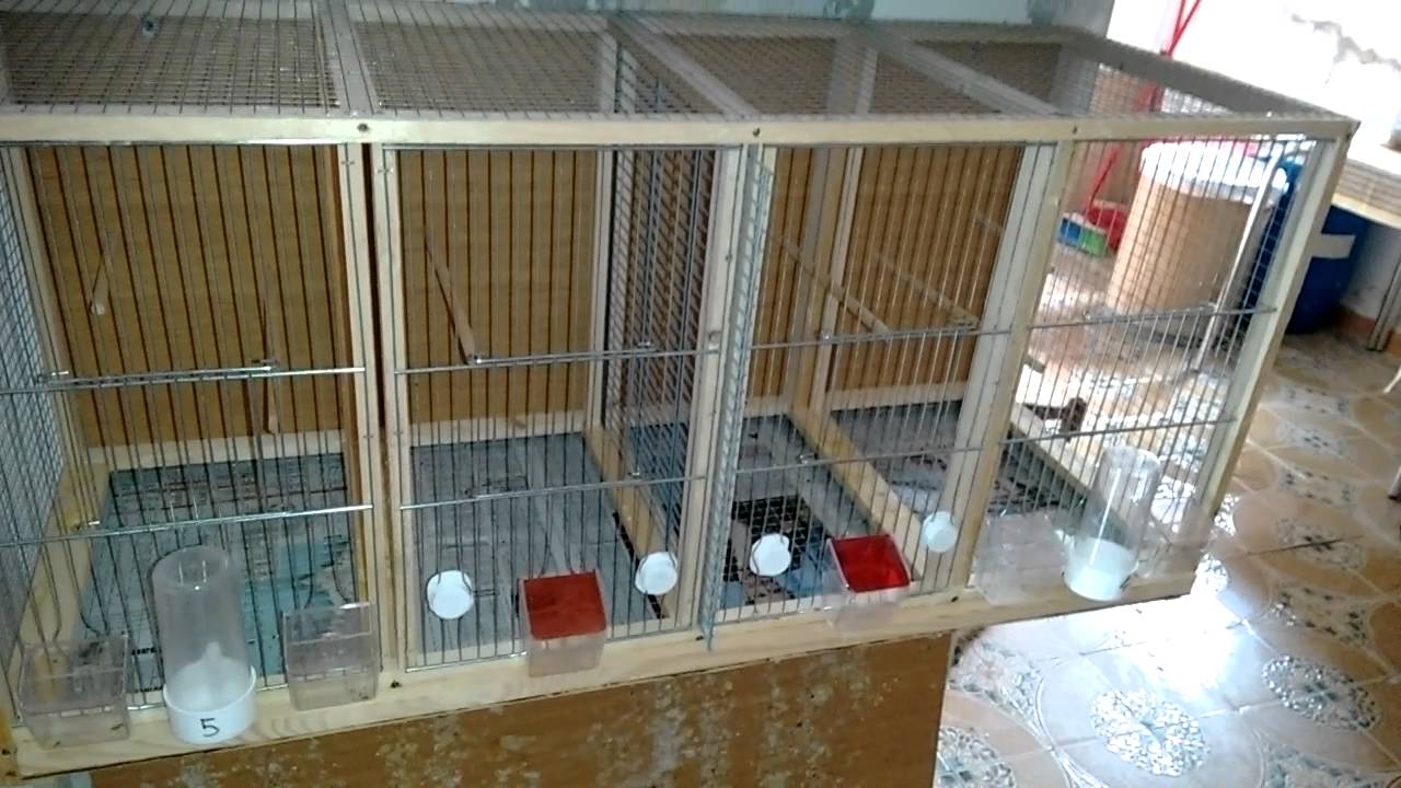Voladera construida por mi.....aviario Víctor Ballester