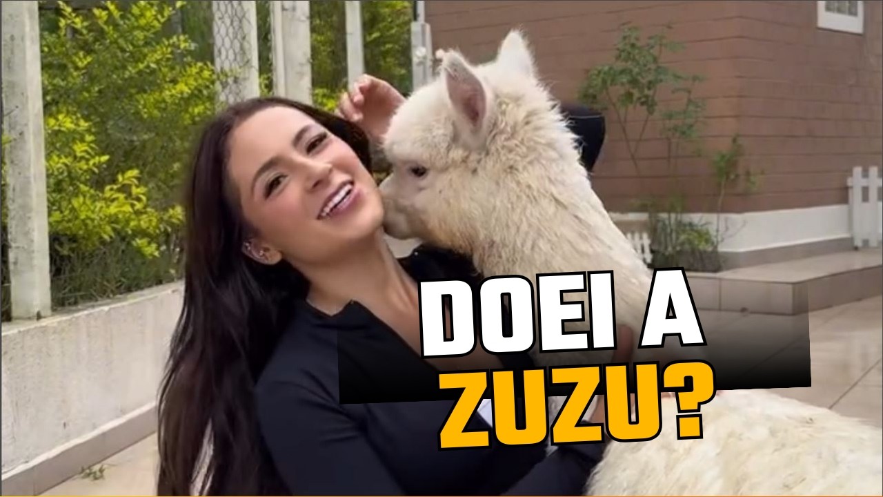 EXPLICANDO POR QUE A ZUZU NÃO APARECE MAIS NOS VÍDEOS