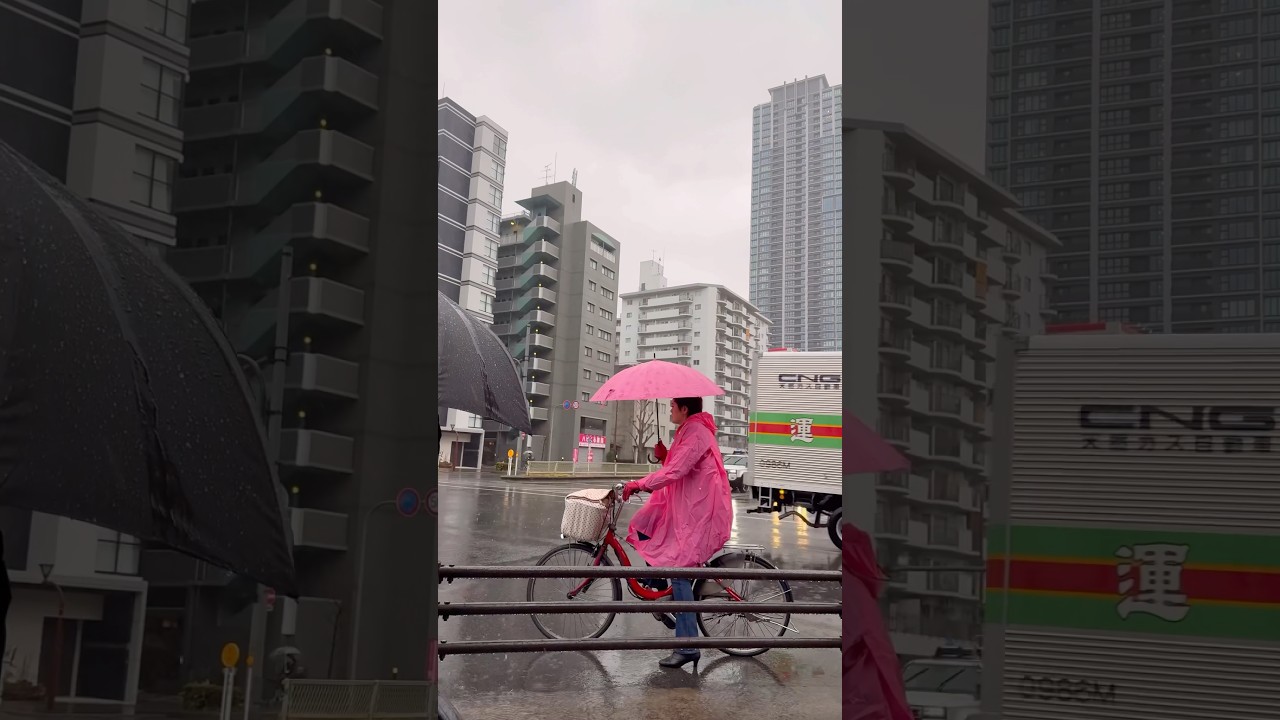 All day raining 🌨️