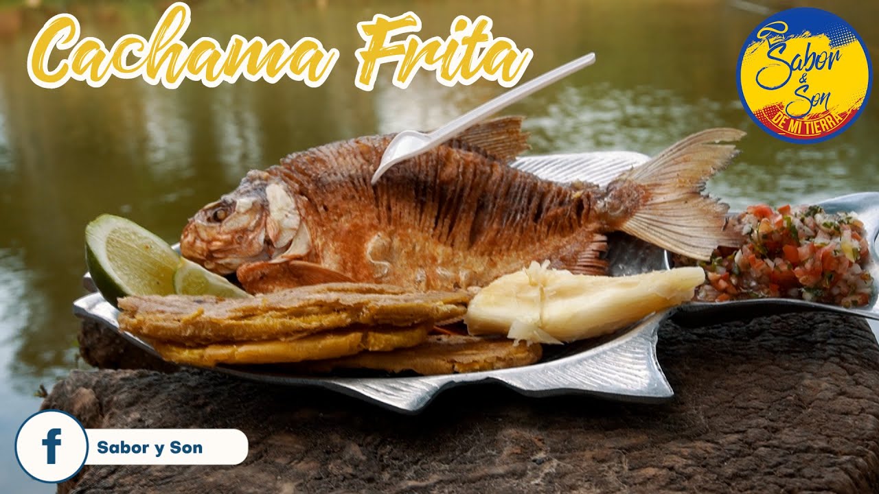 Cachama frita y sudada super fácil - Receta de Villa del Rosario