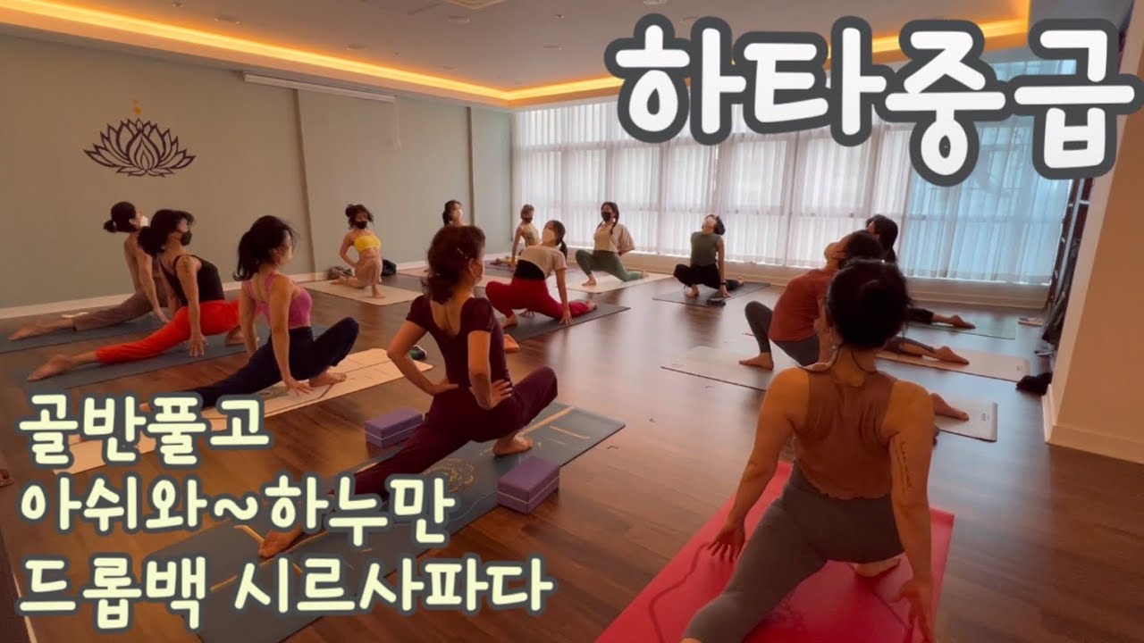[엔젤요가] 하타중급 | 골반풀고 | 수리야🔥| 아쉬와~ 하누만 | 드롭백컴업~ 시르사파다 | 암밸런스 | 깊은전굴까지
