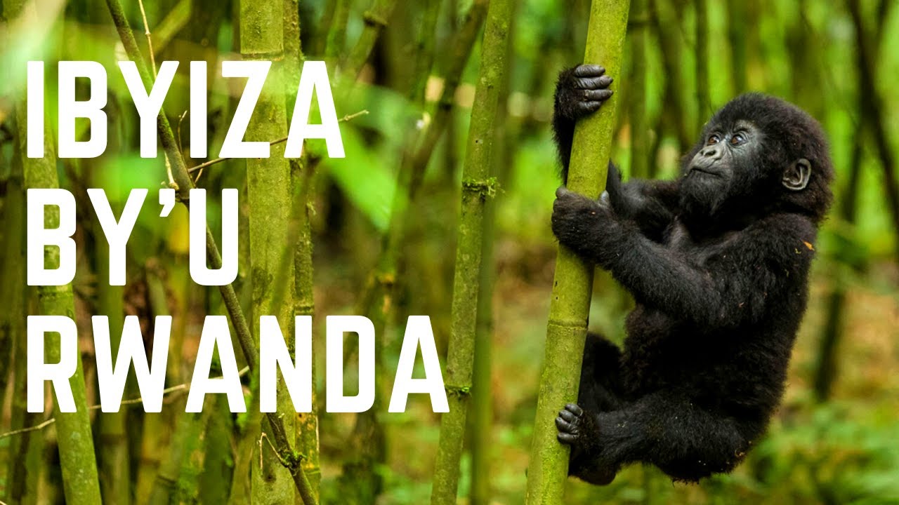 Ibyiza by'u Rwanda LYRICS & VIDEO - RWANDA