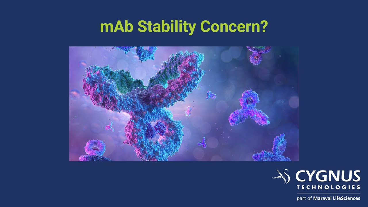 Absolute Host Cell Protein Quantification by PRM-MS