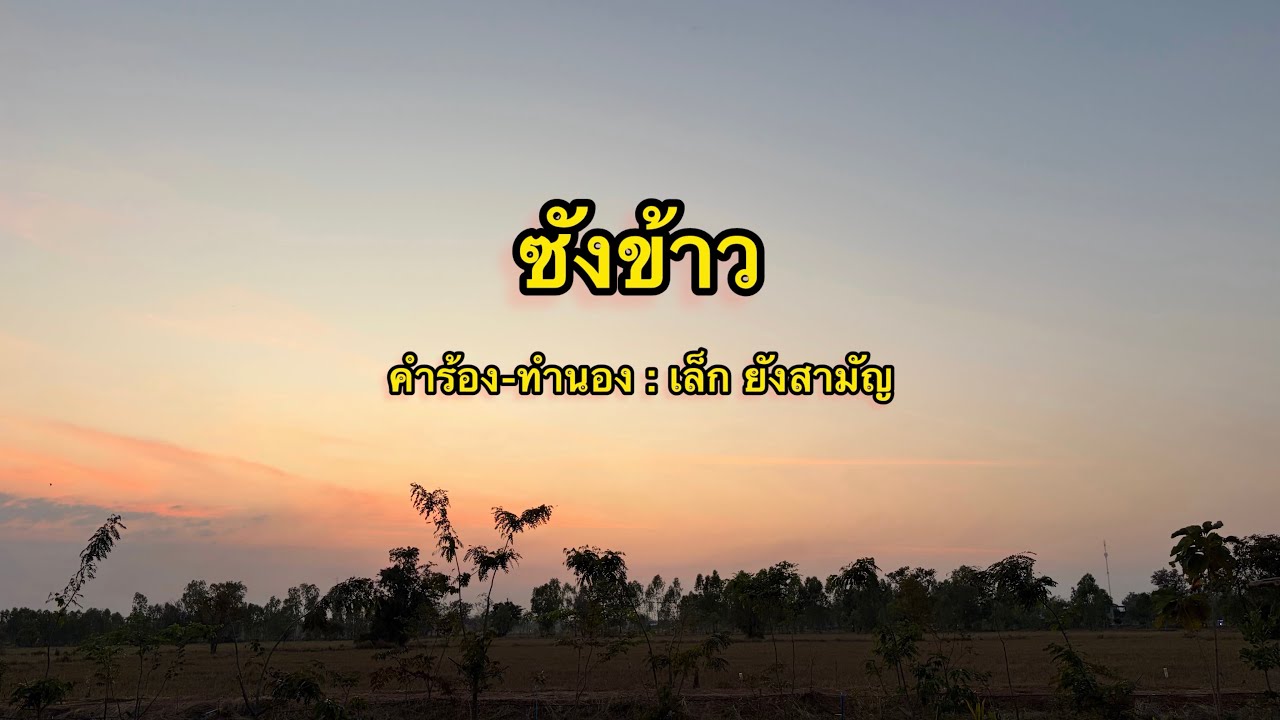 ซังข้าว