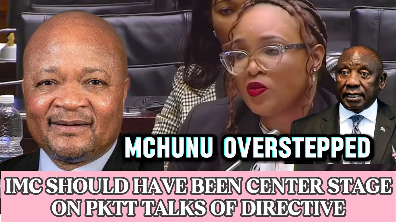 GEN SENTHUMULE - IF GEN MKWANAZI KNEW ABOUT DOCKETS PROCESS WE WOULD NOT BE HERE