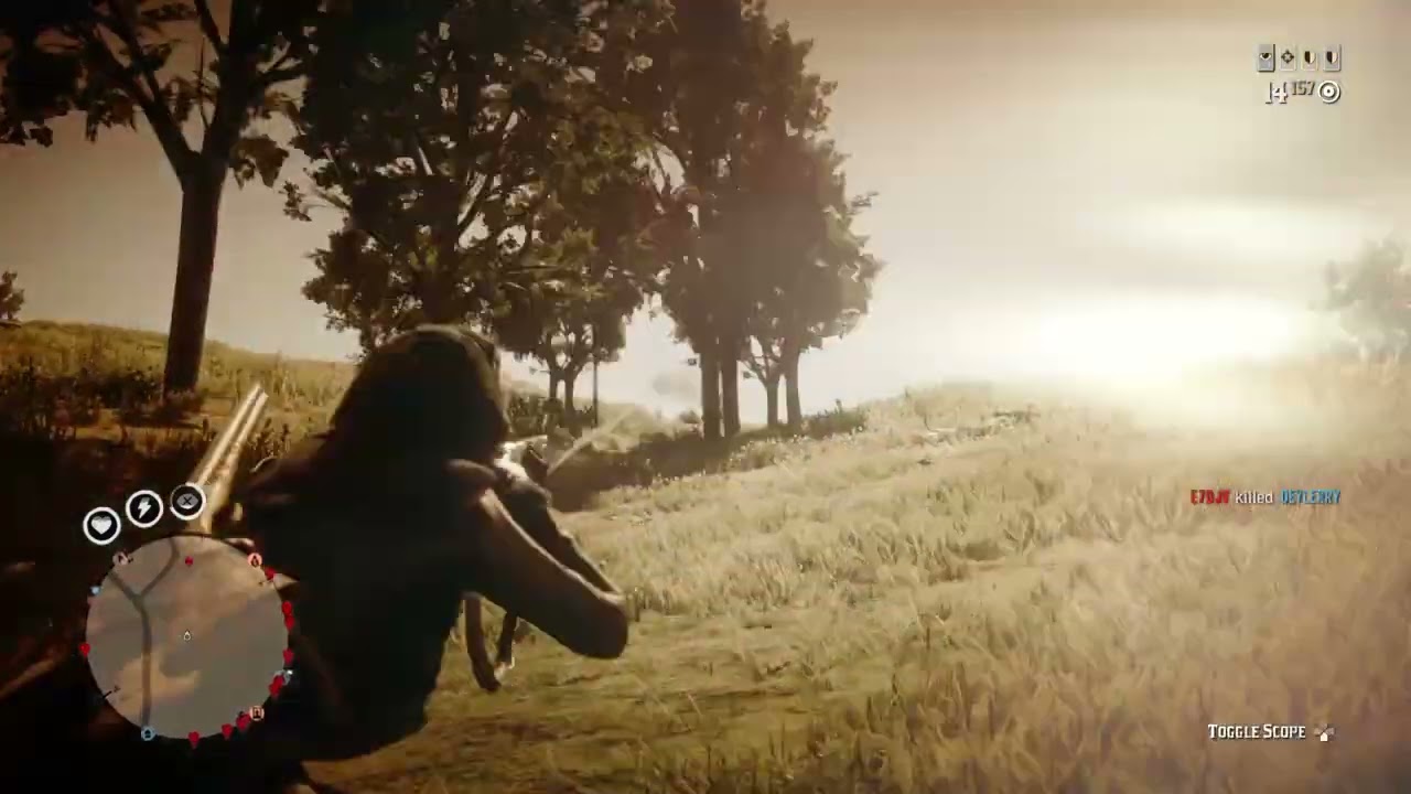 Red Dead Redemption 2_20260112144718