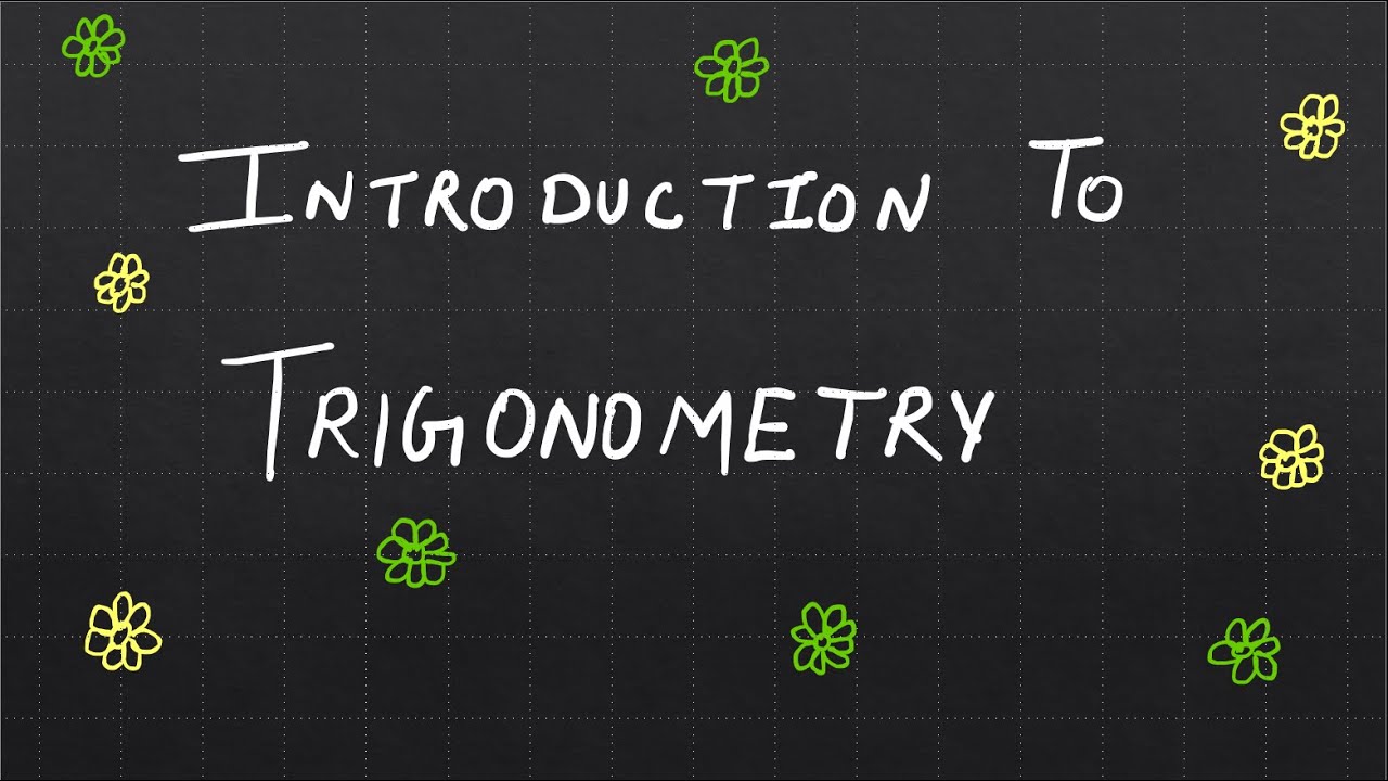 Introduction of Trigonometry | Chapter 8 | Class 10th | In Detail