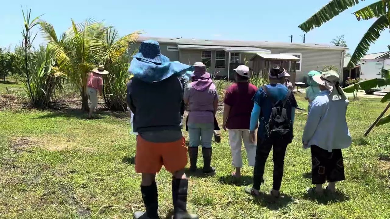 Hmong Florida lub nej zoo li no