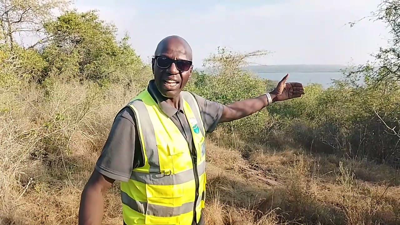 How illegal poaching led to the birth of a Conservancy