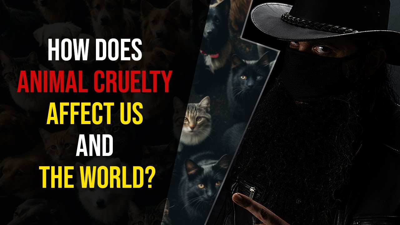 Why are we in crisis due to animal cruelty? (Explained in 1 minute!)