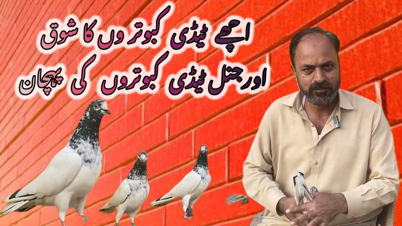 ustad Ulfat Member/Nomanbhatti // part 1